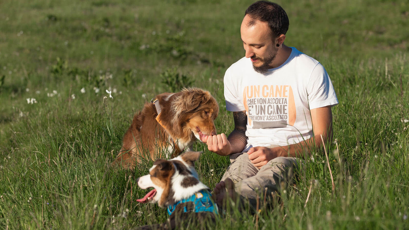 Dog sitter a Udine e provincia Francesco Desomaro