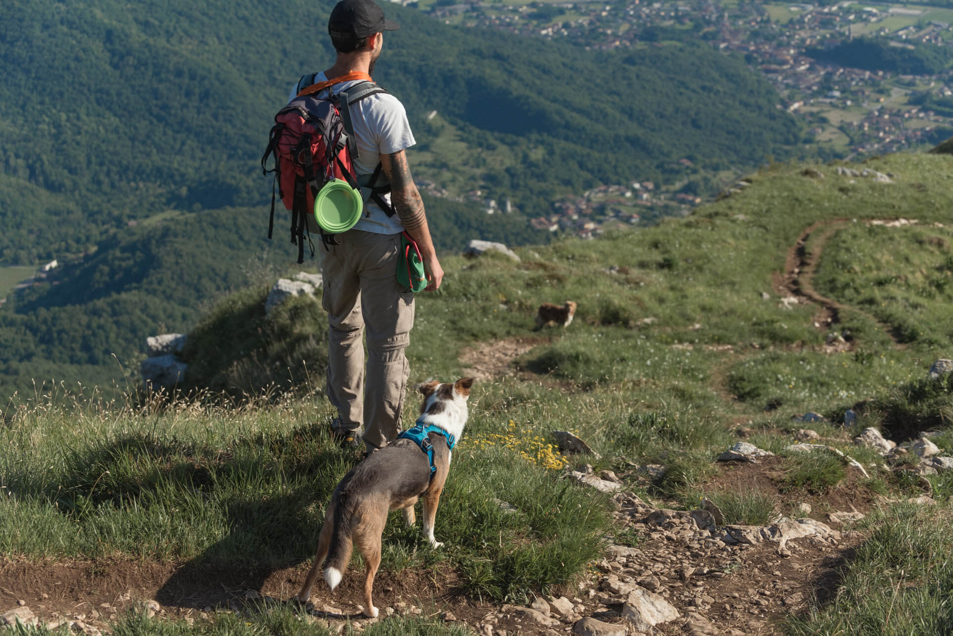 Trekking e passeggiate con cani a Udine e provincia