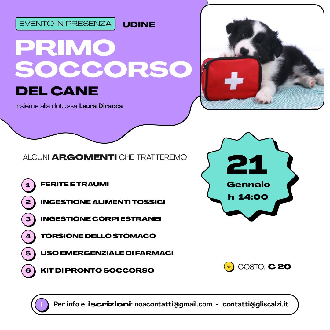 Corso di Primo soccorso del cane a Udine